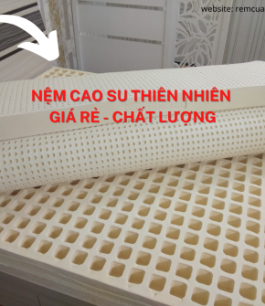 Nệm Cao Su Thiên Nhiên Cao Cấp 1m6